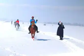 Erzurum'da Kar Üstü At Yarışı Heyecanı!